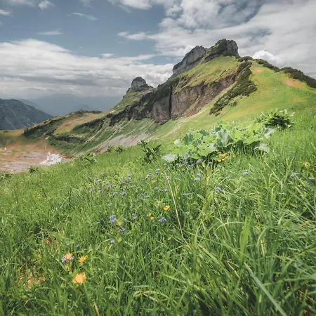 Lägenhet Alpenglueck
