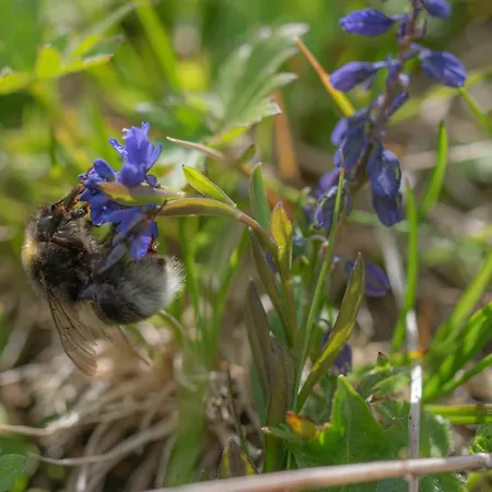 Alpenglueck Appartement Tauplitz