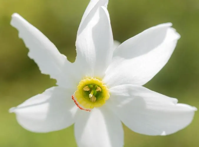 Alpenglueck Apartmán