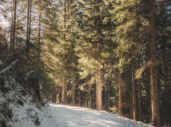 Alpenglueck Appartement