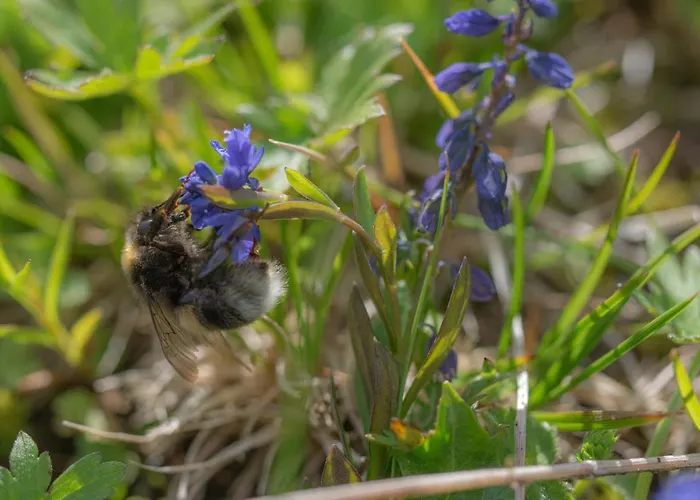 Alpenglueck Appartement Tauplitz